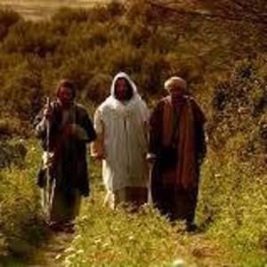 Meet your Posher, Romy